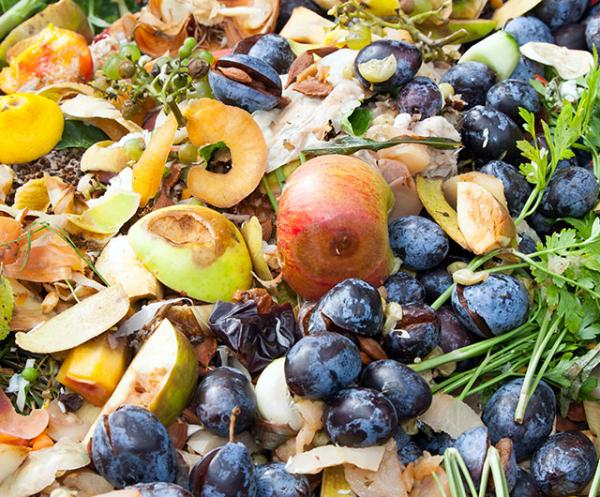 Food Waste Services Food Waste Services