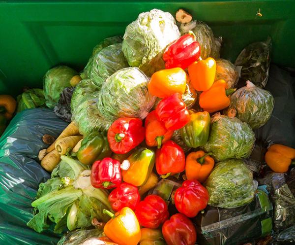 Other Organic Waste Services Other Organic Waste Services